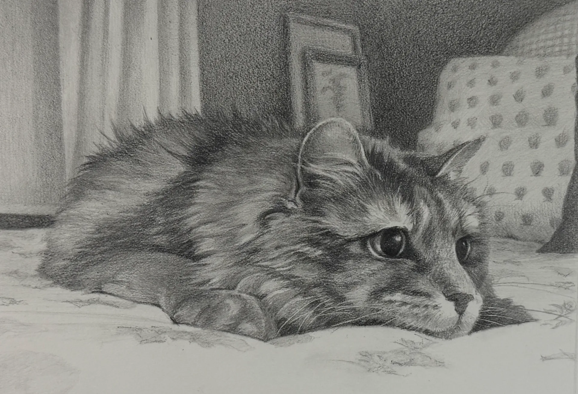 Graphite portrait of a long-haired cat resting on a bed